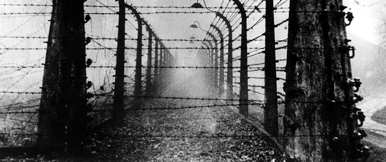 Barbed-wire fences of a concentration camp in fog — from the book Command Responsibility